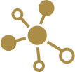 connect